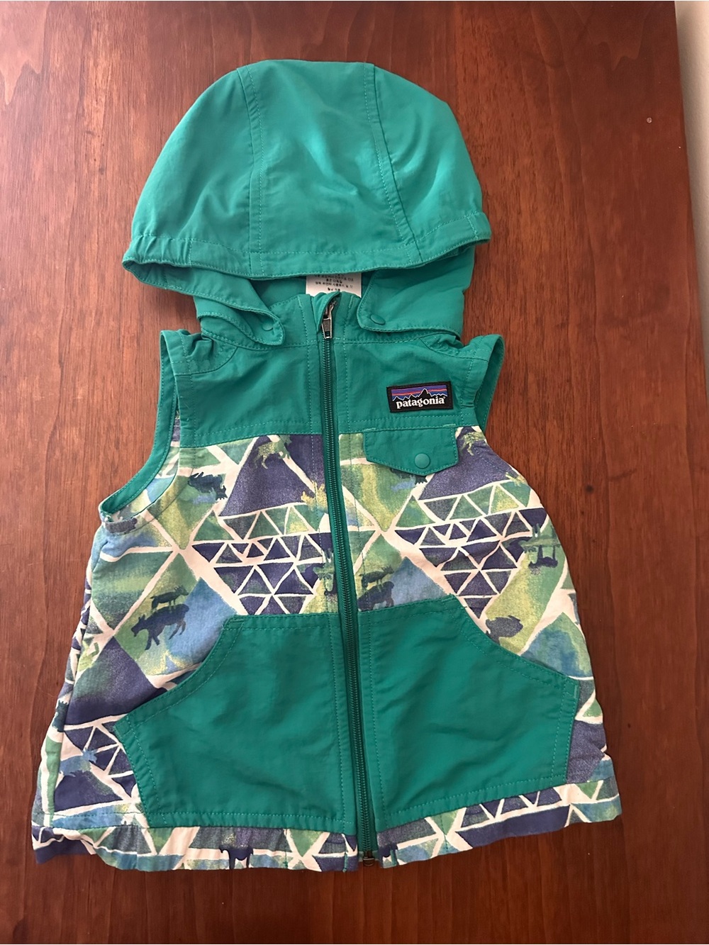 Patagonia Kids vintage Green Teal Hooded Vest
